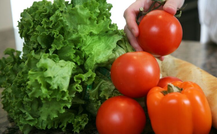  Corso HACCP, a cosa serve e in quali ambiti è obbligatorio